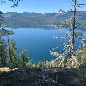 Meet your Posher, Tara